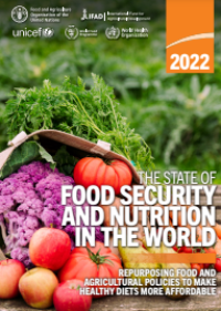 E-book The State of Food Security and Nutrition in the World 2022