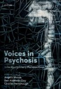 E-Book Voices in Psychosis: Interdisciplinary Perspectives