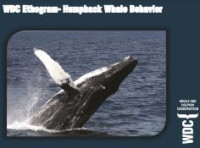 E-book WDC Ethogram-Humpback Whale Behavior
